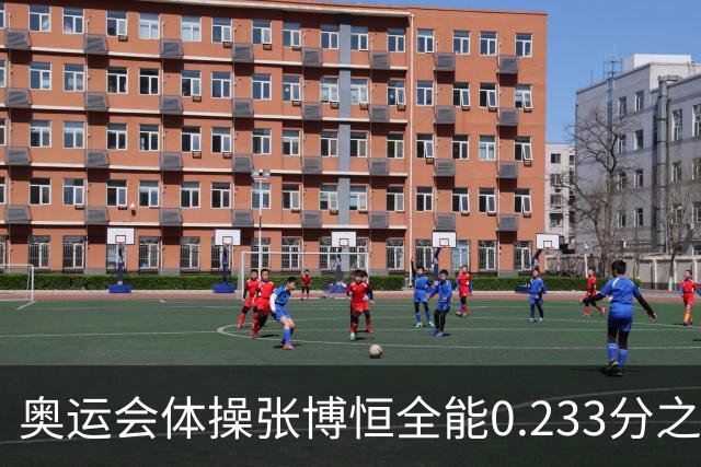 奥运会体操张博恒全能0.233分之差摘银 日本夺金